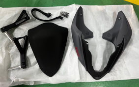 DUCATI STREET FIGHTER V4S 2024 4F00
