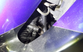 KAWASAKI ZZ-R250 2022 EX250H