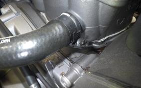 DUCATI MONSTER 937 + 2023