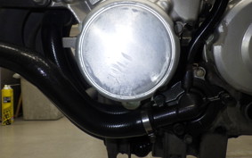 HONDA HORNET 250 MC31