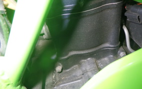 KAWASAKI NINJA 250 SL