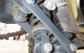 KAWASAKI NINJA 250R 2009 EX250K