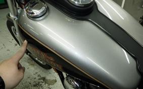 HARLEY FXDL 1340 2017