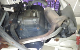 HONDA LITTLE CUB 1987 AA01