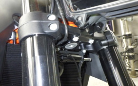 KTM 1290 SUPER DUKE R EVO