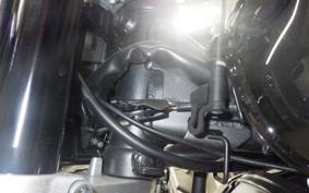 HONDA MONKEY 125 1999 JB03