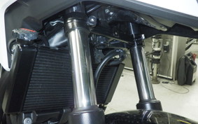 HONDA NC750X DCT 2024 RH09