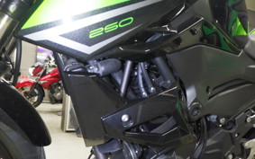 KAWASAKI Z250 Gen.2 2023 EX250Y