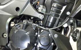 KAWASAKI Z1000 Gen.4 2010