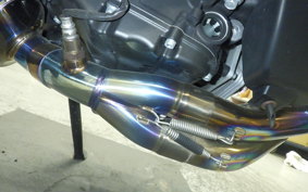 YAMAHA MT-09 ASP 2018 RN52J