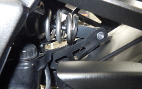 KAWASAKI NINJA 1000SX 2020 ZXT02K