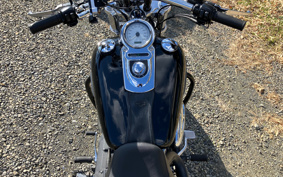 HARLEY HARLEY FXDF1580 2010 GY4