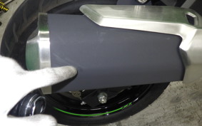 KAWASAKI NINJA 250 2 2019 EX250Y