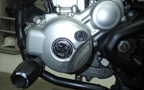 YAMAHA WR250X 2021 DG15J