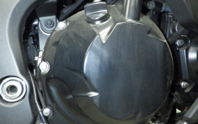 KAWASAKI NINJA 1000 SX 2024 ZXT02K