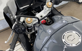 YAMAHA XSR900 GP 2024 RN96J