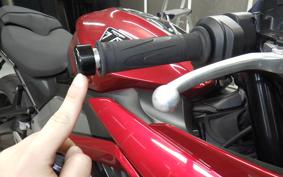 TRIUMPH DAYTONA660 2024