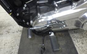 HARLEY FXST1750 2025