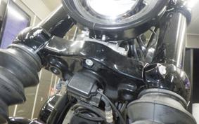 HARLEY FXBB1750 2019