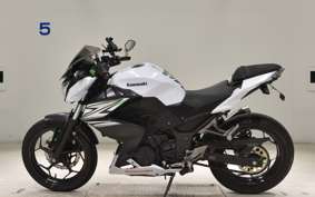 KAWASAKI Z250 2009 ER250C