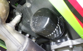 KAWASAKI NINJA 250 2019 EX250Y