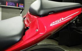 YAMAHA YZF-R25 RG10J