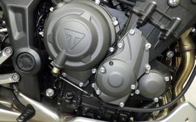 TRIUMPH TRIDENT 660 2025