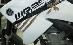 YAMAHA WR250X DG15J