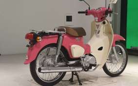 HONDA C110 SUPER CUB 2010 JA44
