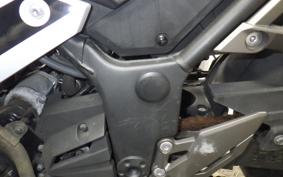 KAWASAKI NINJA 250 ABS EX250L