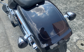 HARLEY FLFBS 2021 YGK