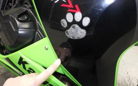 KAWASAKI NINJA 250 ABS EX250L