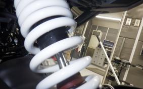 HUSQVARNA SVARTPILEN 250