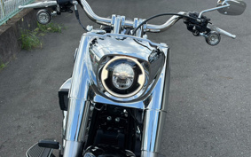 HARLEY FLFB 2026 YF9