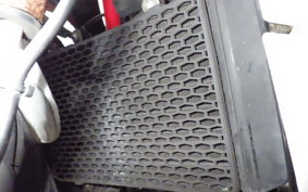 OTHER メガリ 250R