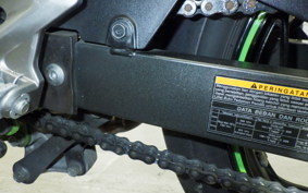 KAWASAKI NINJA 250 SL