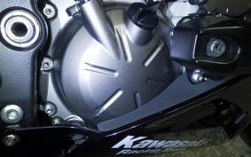 KAWASAKI NINJA ZX-6R A 2019 ZX636G