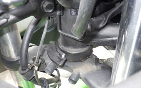 KAWASAKI NINJA 250 ABS EX250L
