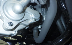 YAMAHA X-MAX 250 2021 SG70J