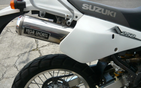 SUZUKI DJEBEL250XC SJ45A