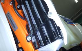 KTM 250 EXC TPI SIXDAYS