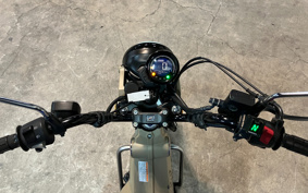 HONDA CT125 HUNTER CUB JA55
