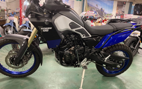YAMAHA TENERE 700 2020 DM09J