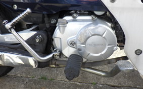 HONDA C110 SUPER CUB 2025 JA10
