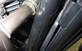 TRIUMPH SPEED TWIN 2019