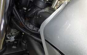KAWASAKI ZRX1200 D 2017 ZRT20D