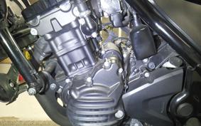 HONDA REBEL 250 2004 MC49