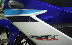 SUZUKI GSX250 R