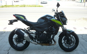 KAWASAKI Z250ABS EX250P