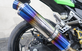 KAWASAKI NINJA 250 EX250L